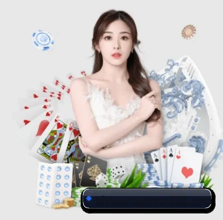 333体育 APP 界面