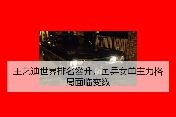 wang-yi-di-shi-jie-pai-ming-pan-sheng-guo-ping-nv-dan-zhu-li-ge-ju-mian-lin-bian-shu-3-528.jpg