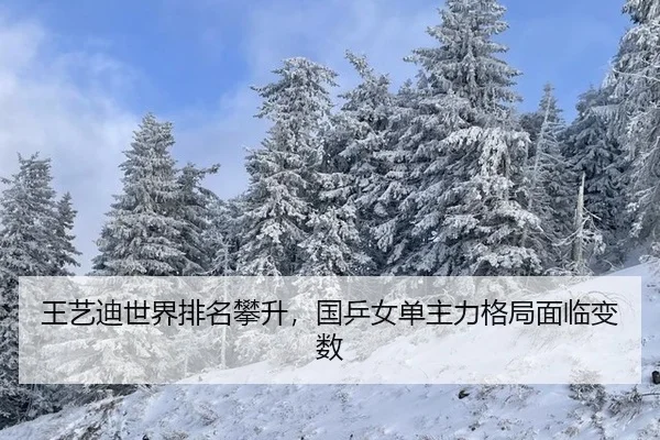 王艺迪世界排名攀升，国乒女单主力格局面临变数