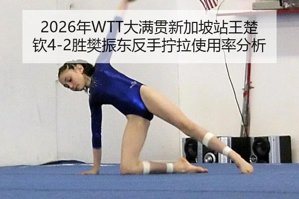 2026年WTT大满贯新加坡站王楚钦4-2胜樊振东反手拧拉使用率分析